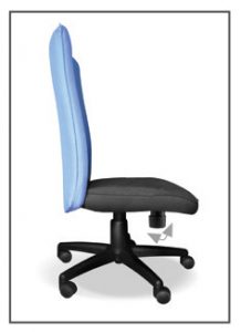 Ergonomic Information Proseat