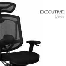 Executive Chairs - Mesh Backrest
