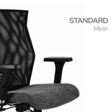 Standard Chairs - Mesh Backrest