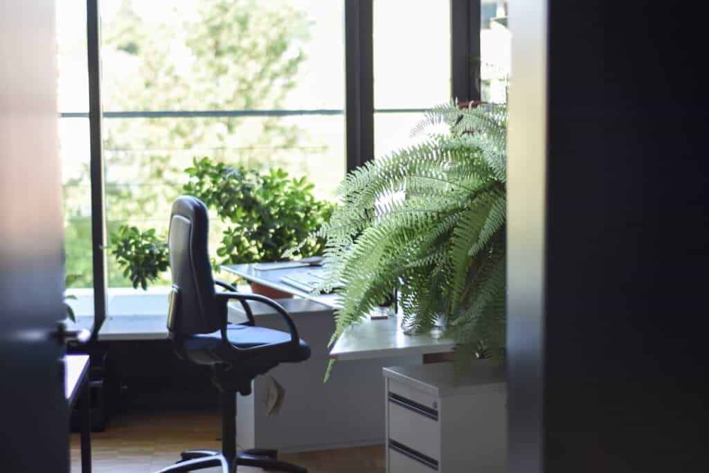 Photo desk chair